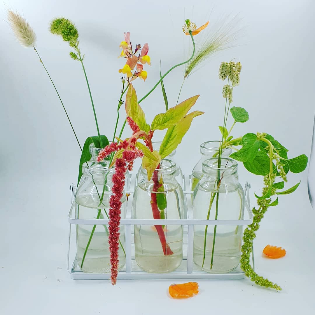 Bits and pieces from the garden.